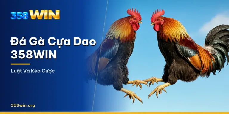 Trận đá gà cựa dao trực tiếp trong sảnh 358WIN