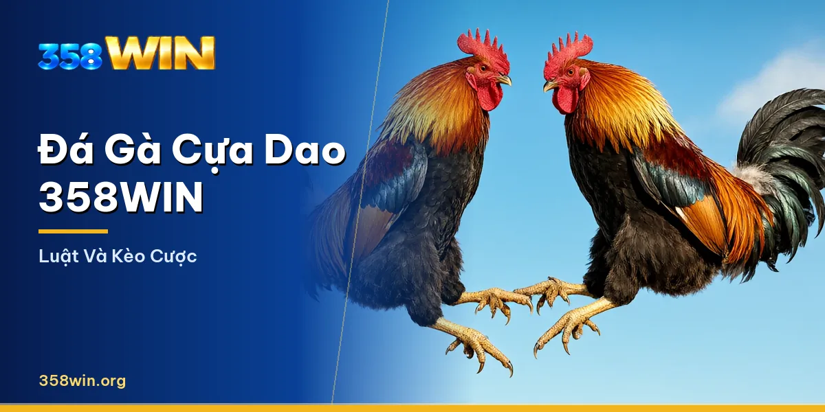Trận đá gà cựa dao trực tiếp trong sảnh 358WIN