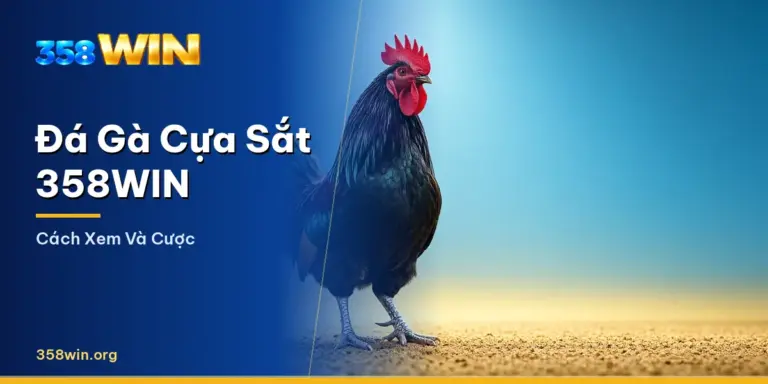 Trận đá gà cựa sắt trực tiếp trên 358WIN