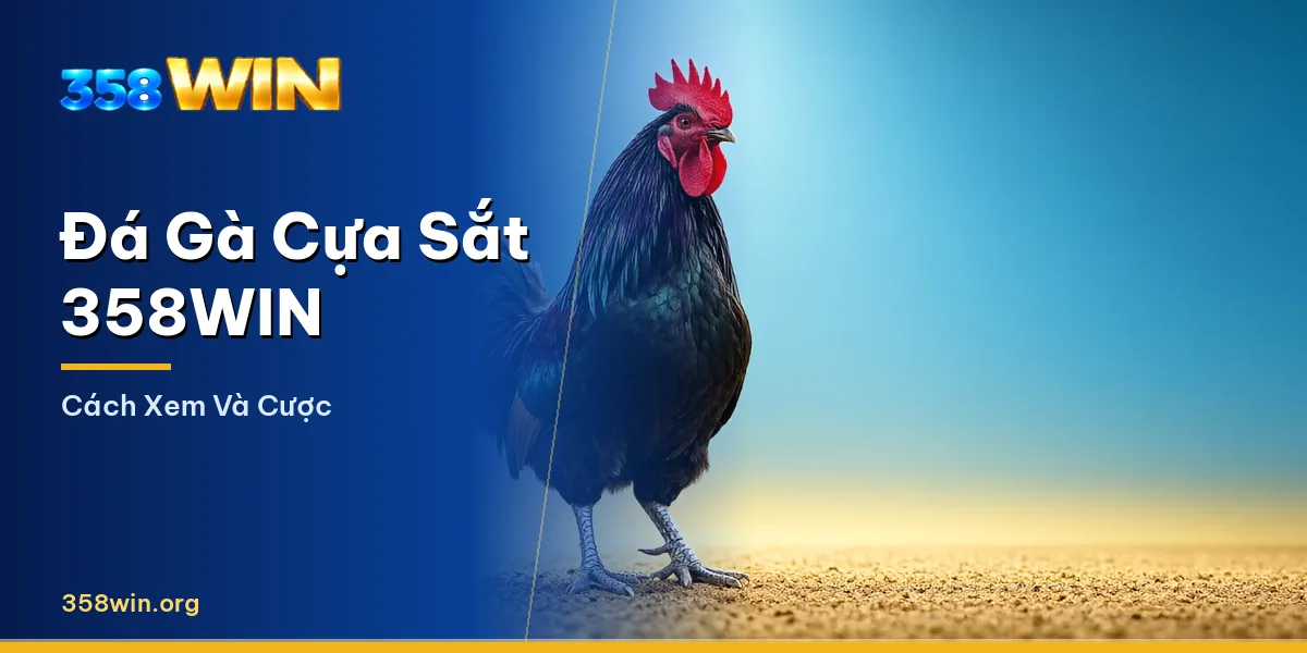 Trận đá gà cựa sắt trực tiếp trên 358WIN